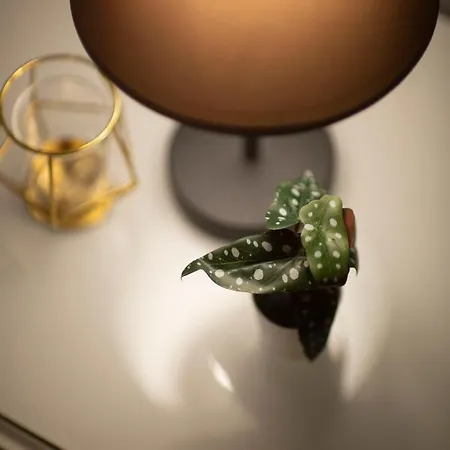 Spacious & Cozy Downtown With Balcony 公寓